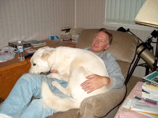 Lap dog??