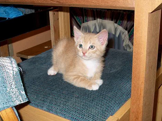 I'm not big enough to use this chair??