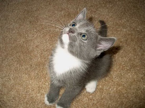 Time to play?  I know it's time to play....