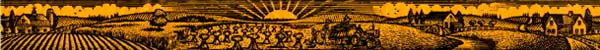 banner.JPG (14857 bytes)