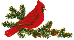 cardinalonboughwiz2.gif (6759 bytes)