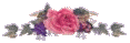 rosetop.gif (2857 bytes)