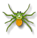 Bug