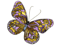 Another Butterfly