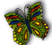 Another Butterfly