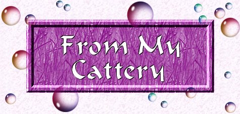 From My Cattery