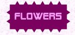 Flowers