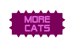 More Cats