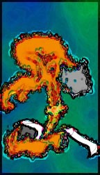 Calf