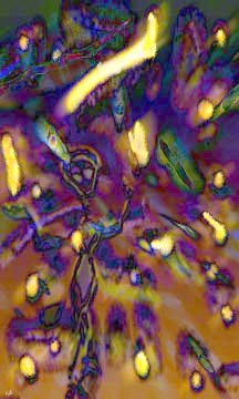 Emet Met, computer art