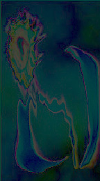 Click for Archives Volume 4