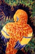 Parrot, by Suzan Ertuman