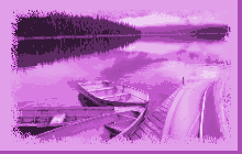 boats