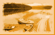 boats