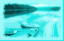 boats