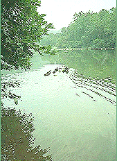 river