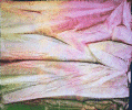 cloth