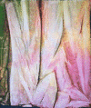 cloth