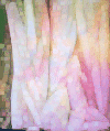 cloth