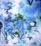 cloth