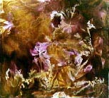 cloth