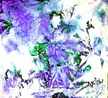 cloth