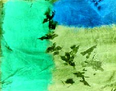 cloth