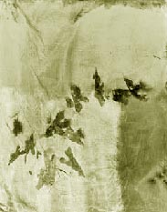 cloth
