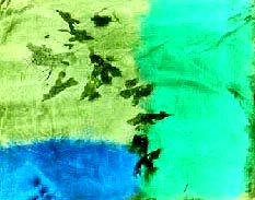 cloth