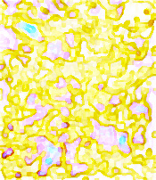 cloth