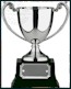 More silverware than Chelsea most likely are going to get this year