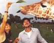 safari.jpg (82729 bytes)