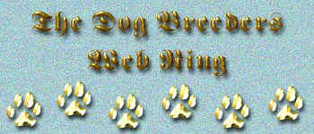 dbgraphic.jpg (28058 bytes)