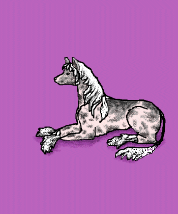 crestie2.gif (32191 bytes)