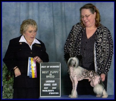 raphBestPup.jpg (35960 bytes)