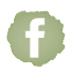 Facebook Icon