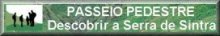 Passeios Pedestres em Sintra