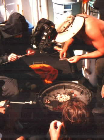 urchins.jpg (19877 bytes)
