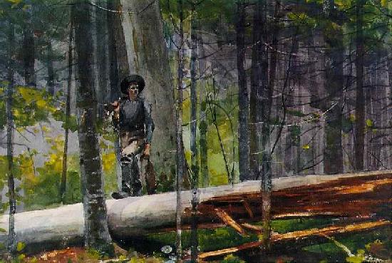 Homer hunting