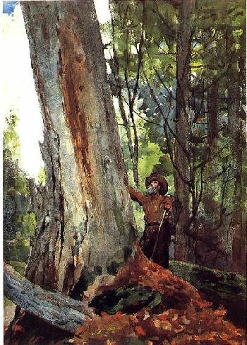 Adirondack paintings