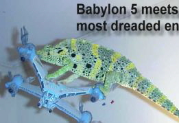 Meller Chameleon, Egor.