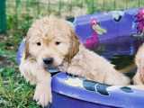 Tired... but I don't wanna get out