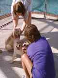 Jackson, Toby and Kira