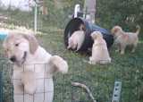 Outside play time