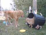 Mom's watchful supervision.