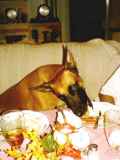 More stuffing please?