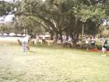 Goldens Rescued parade