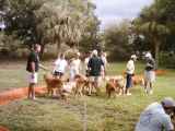 Everglades Golden Rescue Expo