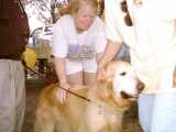 Everglades Golden Rescue Expo