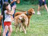 Everglades Golden Rescue Expo